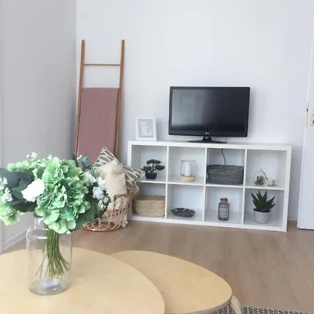 Apartmán Ava Mangalia